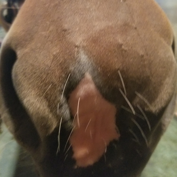 HUGE SALE HUGE SALE HUGE SALE - Picture 8 of 8